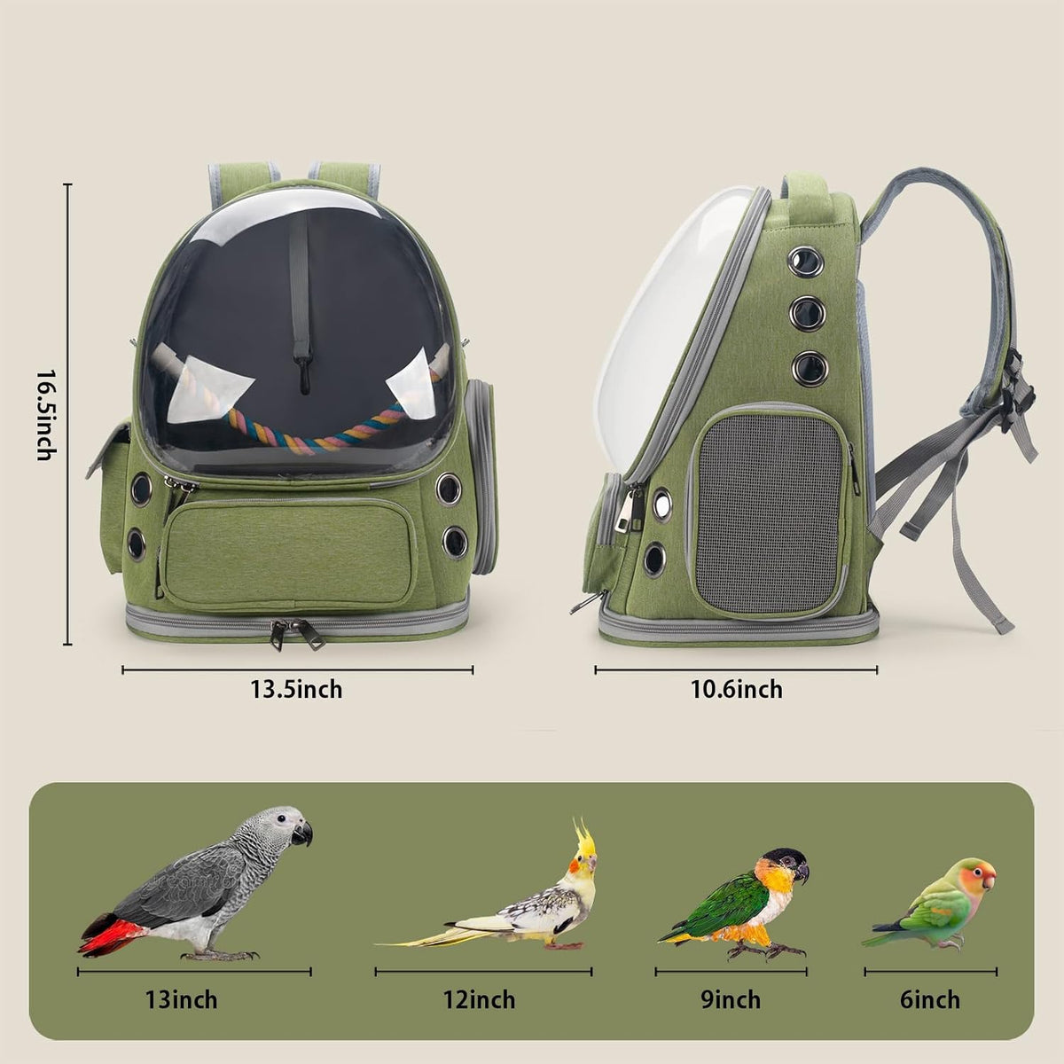 bird backpack carrier travel cage with perch, tray, close-up detail