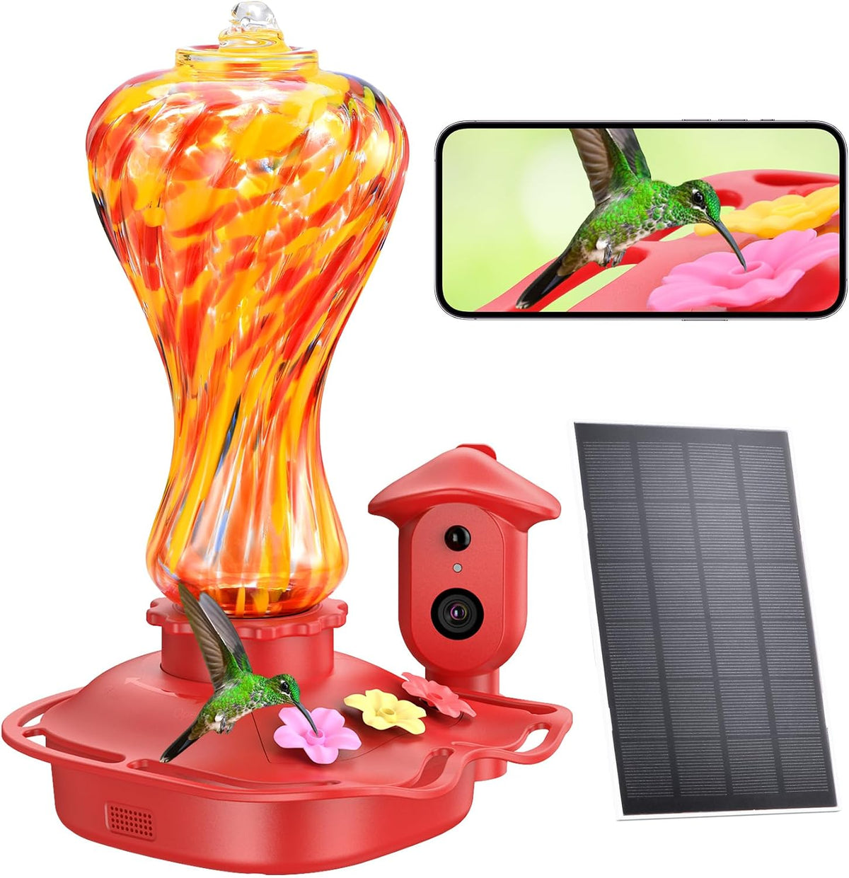 smart glass hummingbird feeder with camera, 2k hd, main product view