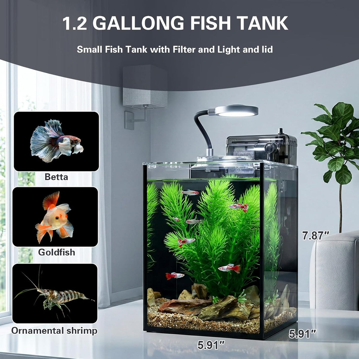 1.2 gallon small aquarium set glass fish tank,desktop, side view