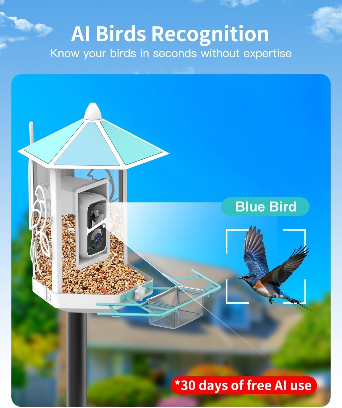 onlyfly metal bird feeder with camera and 74.5, close-up detail