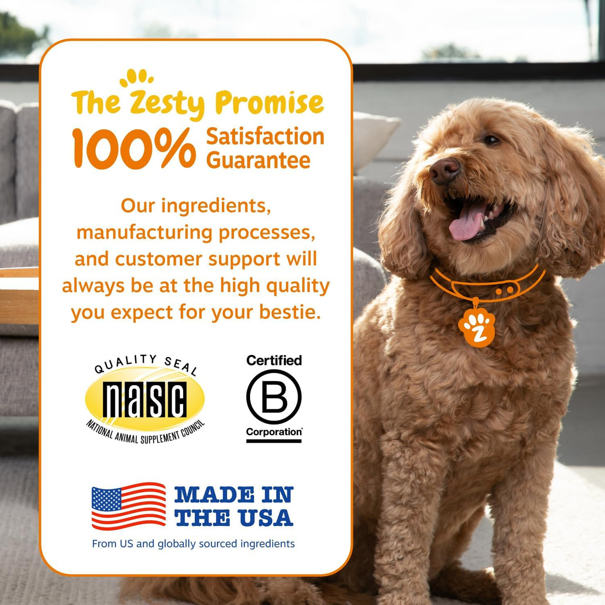 zesty paws probiotics for dogs, digestive enzymes gut showing dimensions