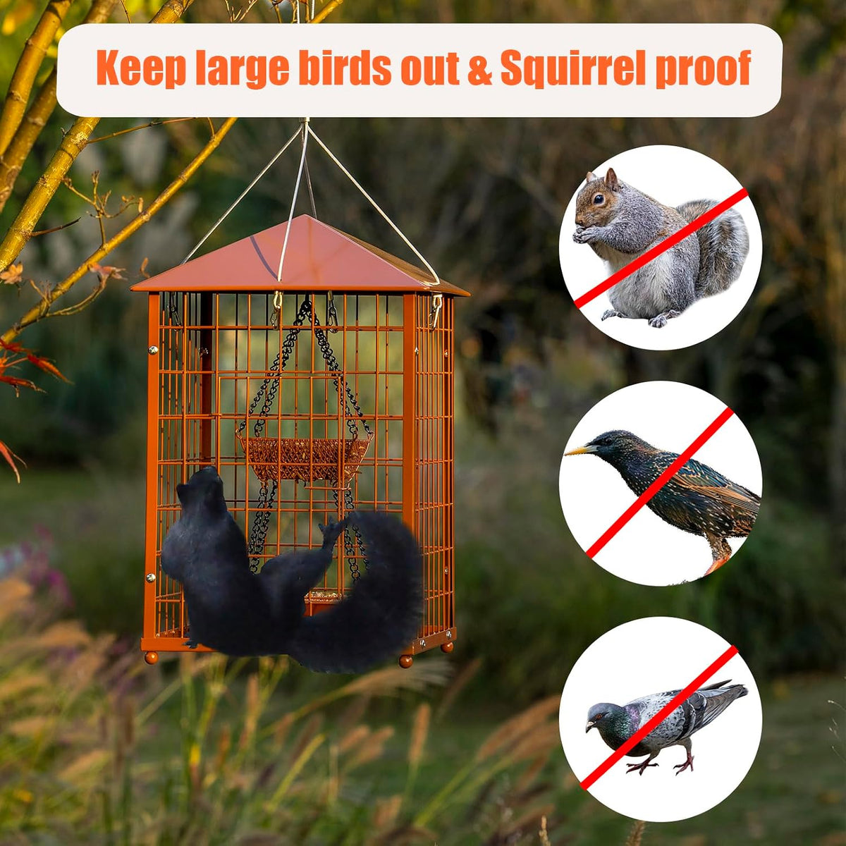 mealworms bird feeders for bluebirds - metal showing dimensions