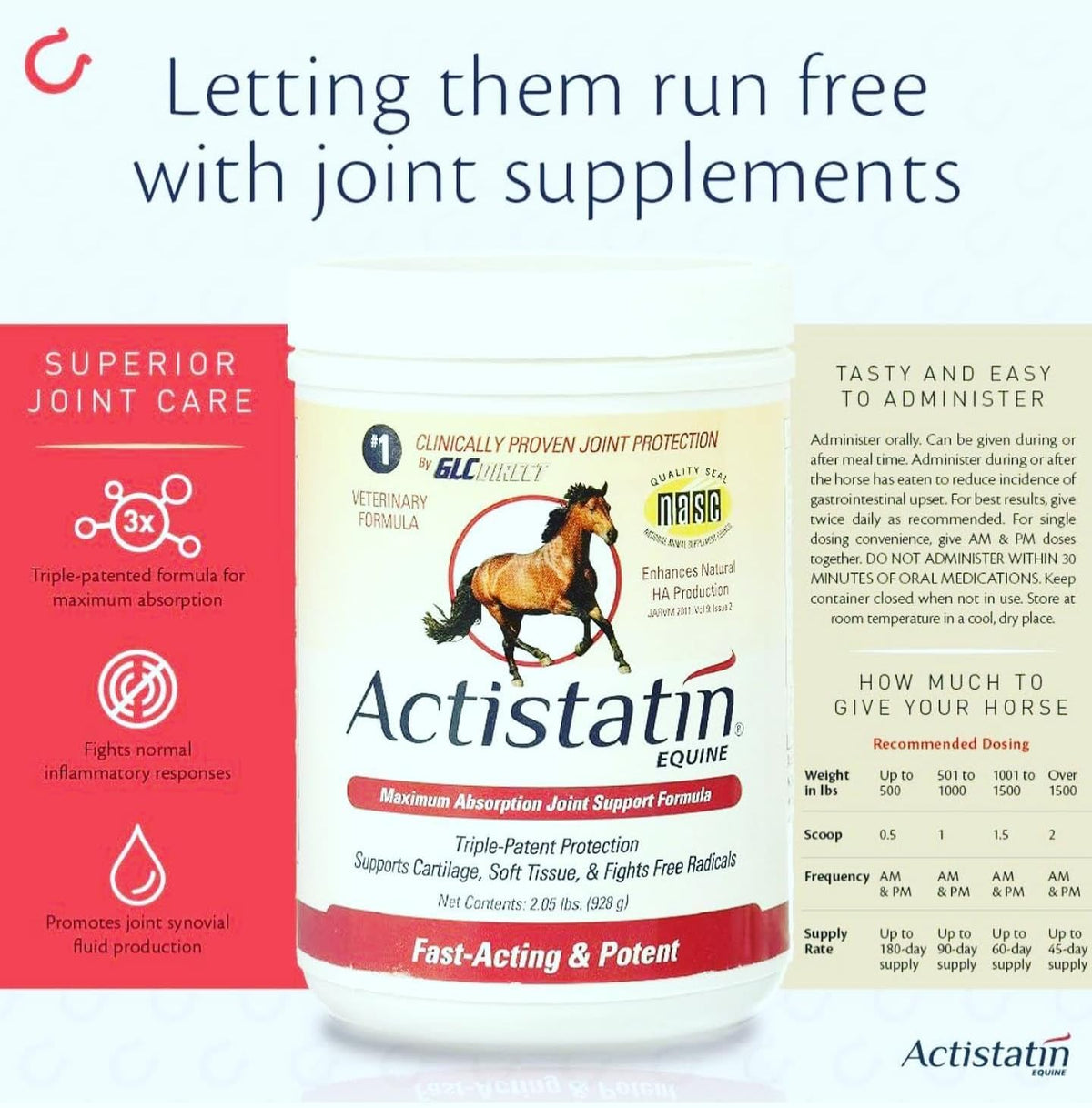 actistatin equine powder - horse joint supplement shown in use