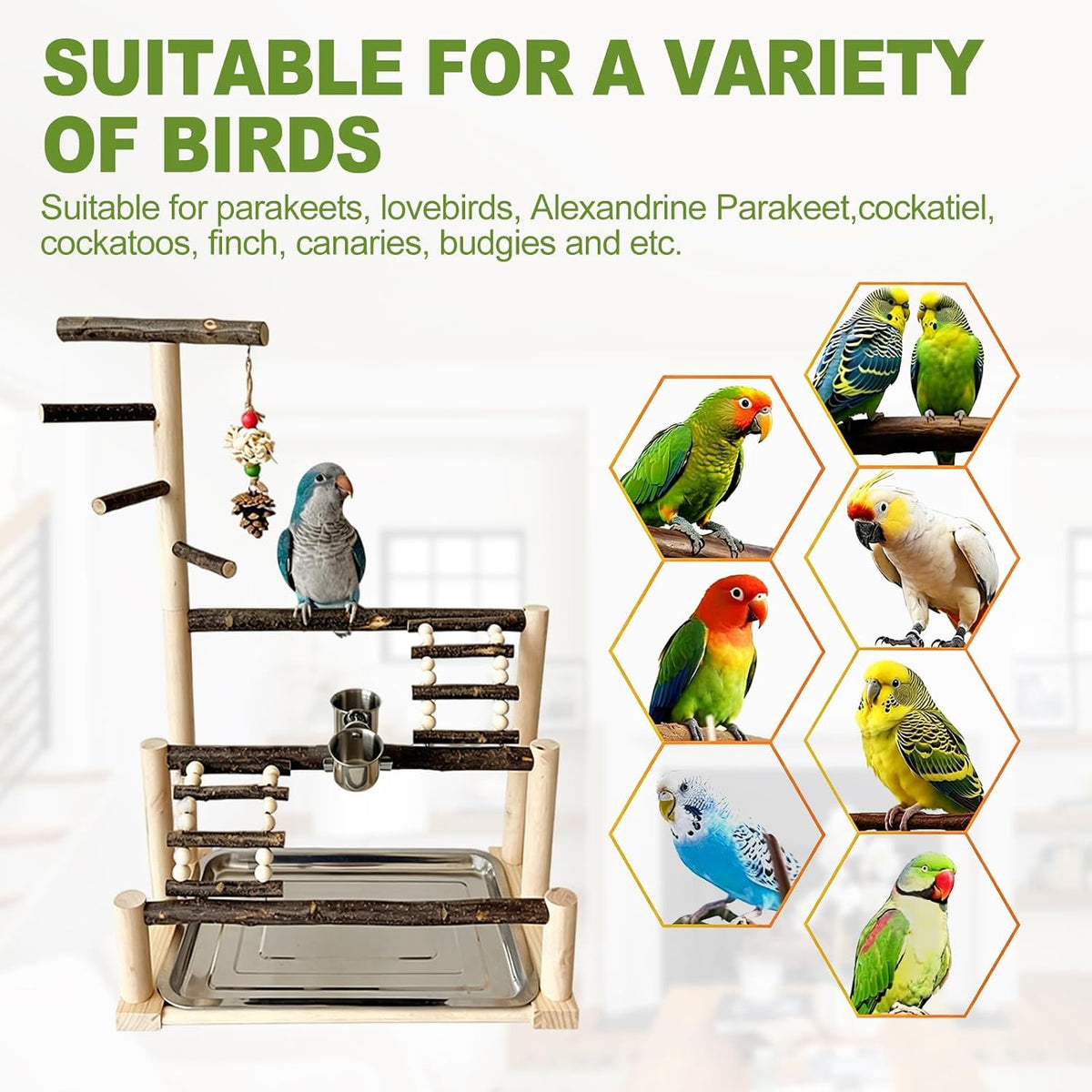 parrot playstand bird playground showing dimensions