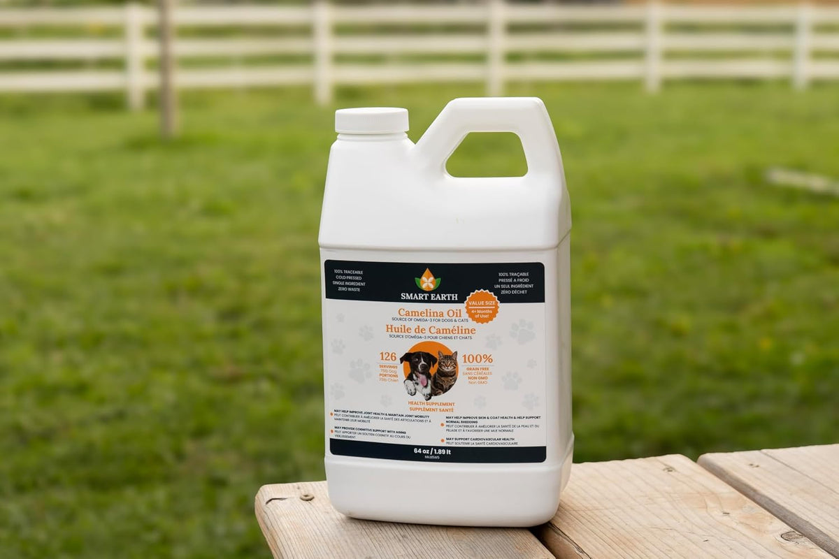 smart earth camelina oil for dogs - omega shown in use