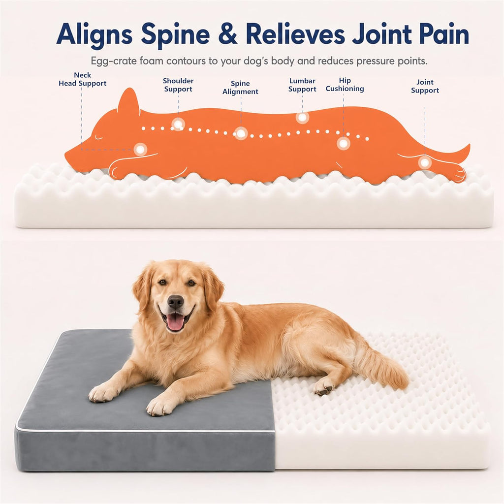 orthopedic dog mat, 100% waterproof 28d foam bed shown in use
