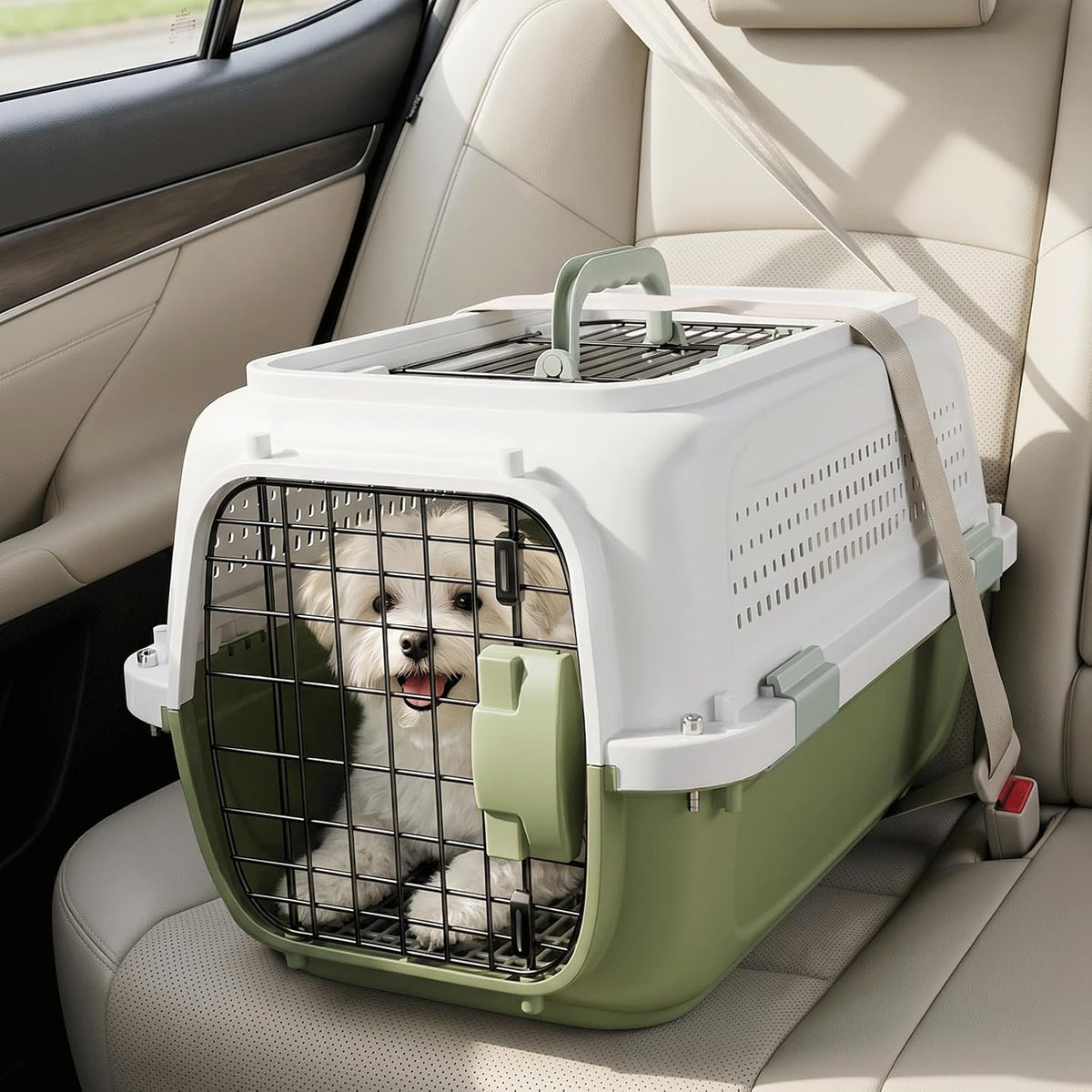 magshion 22 inch hard-sided dog cat carrier, green, close-up detail