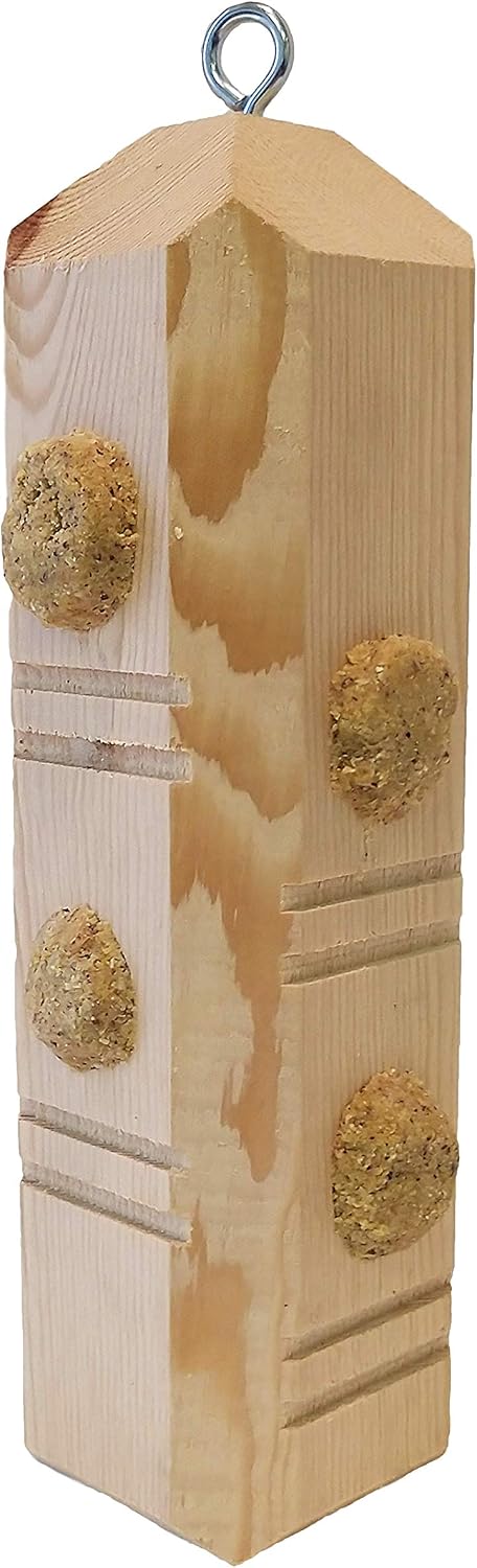 wildlife sciences suet plus suet plug variety 5-pack shown in use