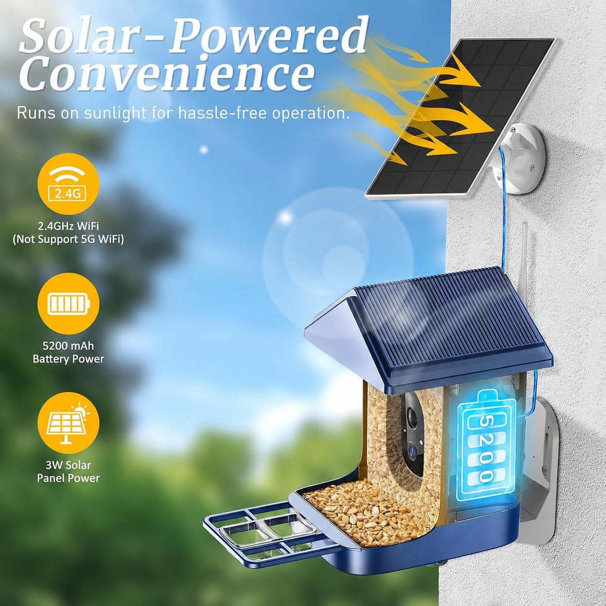 bird feeder with camera, solar powered, 2k hd, close-up detail