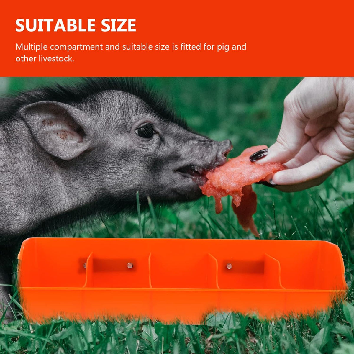 ganazono pig feeding trough 5-compartment for piglets 2-pack showing dimensions