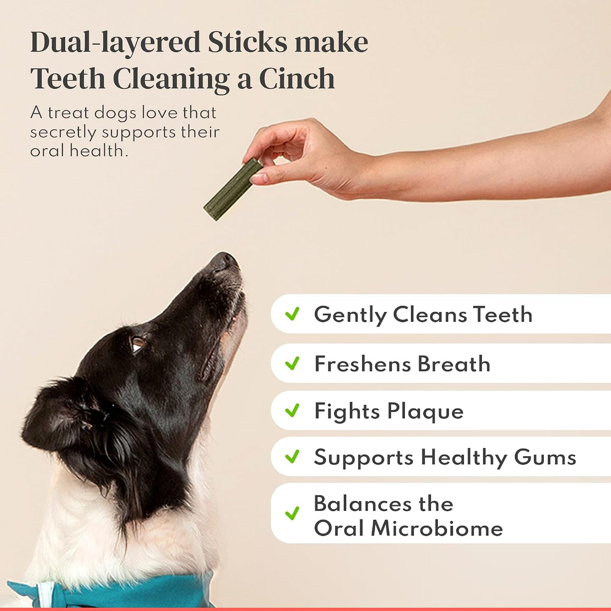 dental sticks for dogs - freshens breath, cleans shown in use