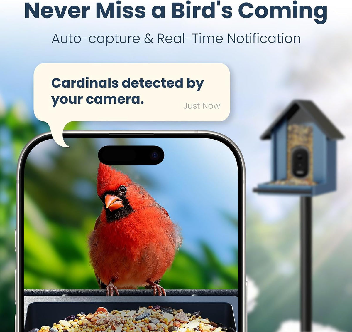 smart metal bird feeder with camera, deep blue showing dimensions