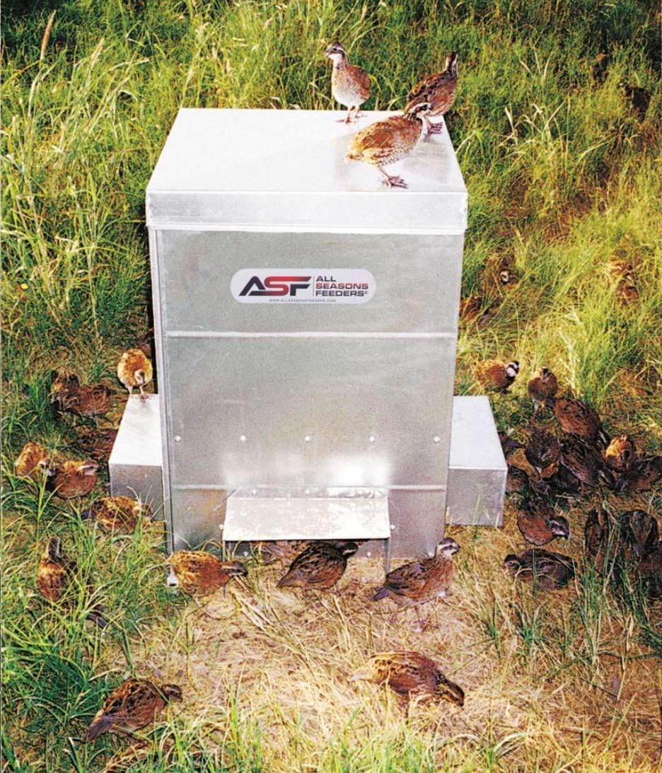 all seasons feeders - quail feeder shown in use