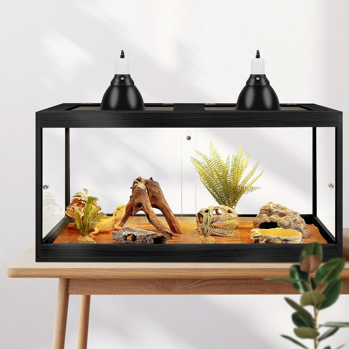 prolee bearded dragon tank 60 gallon, tempered glass, front angle view
