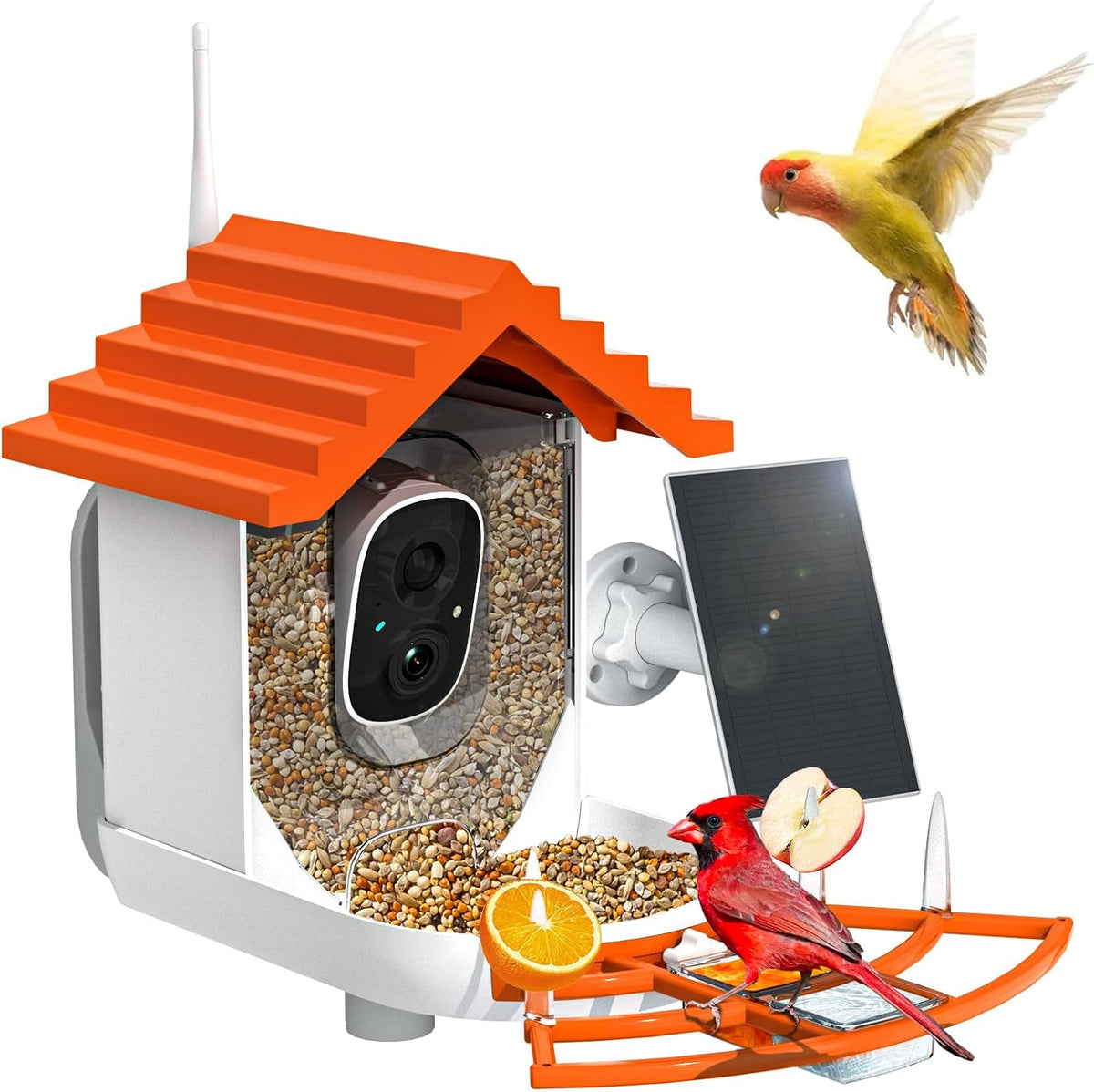 smart bird feeder with camera solar powered &, main product view