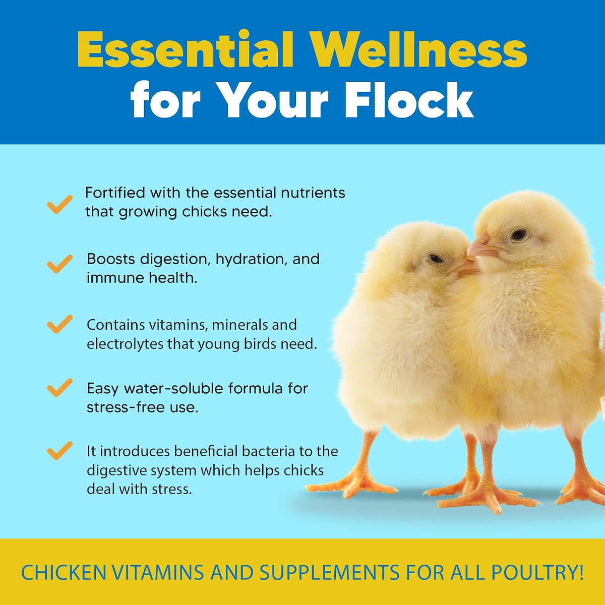 equerry's flock pro chick boost probiotic - probiotics shown in use