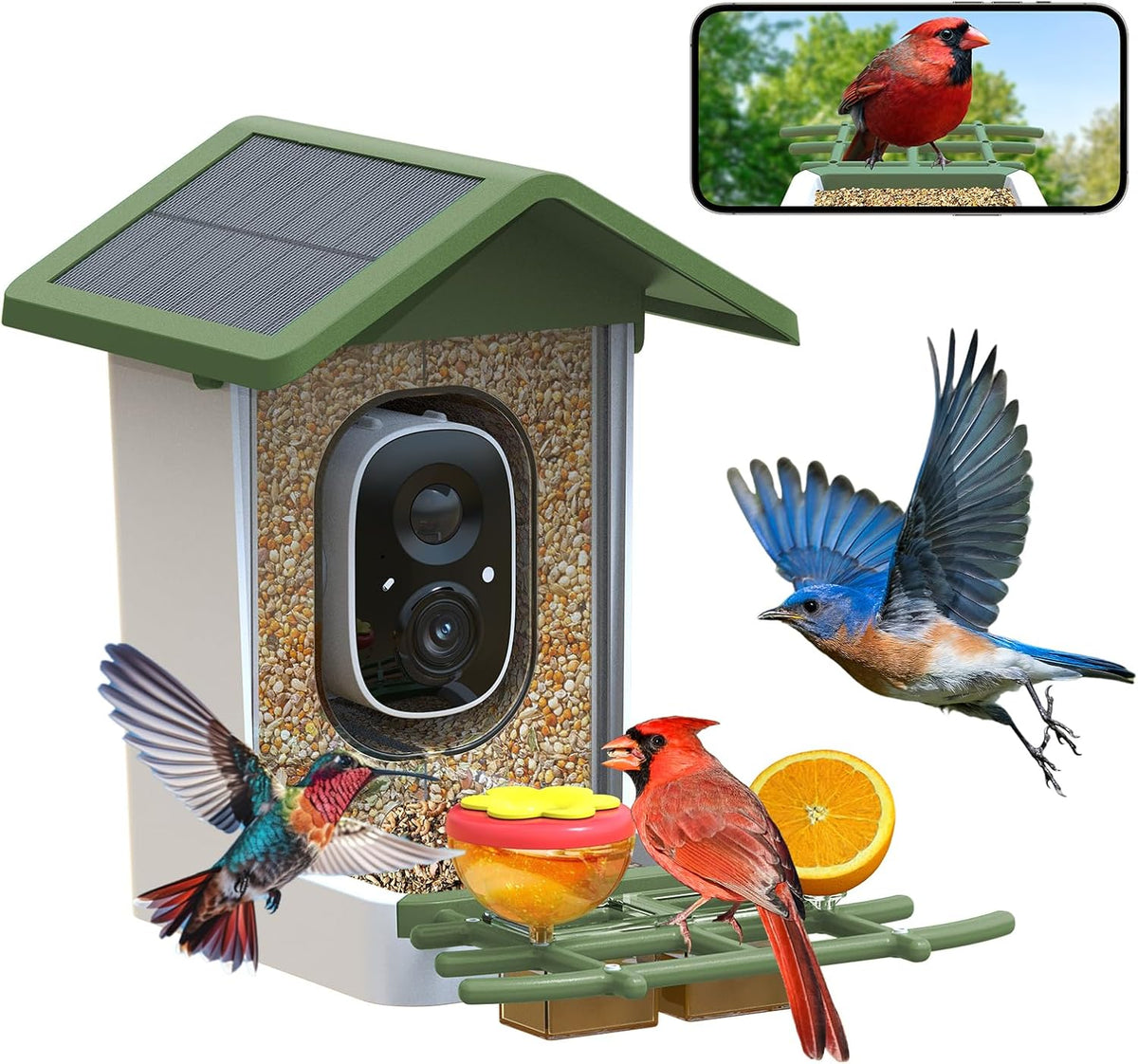 smart bird feeder with camera: solar powered birdhouse, main product view
