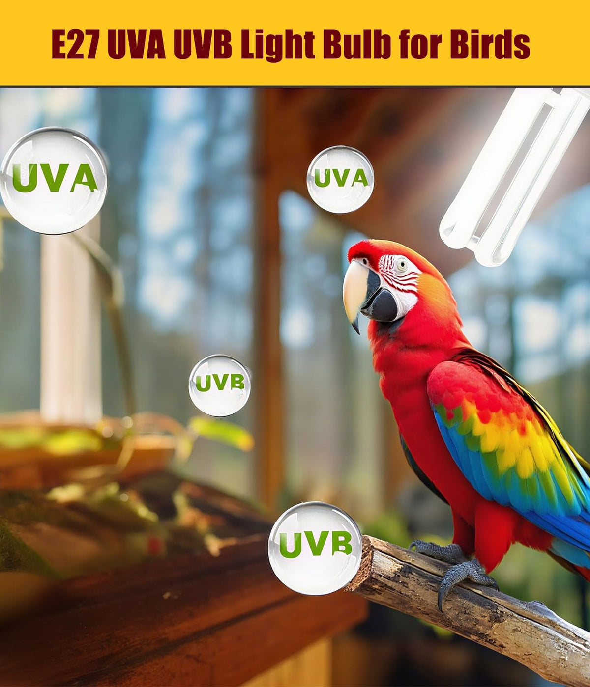 kingyeenuo bird cage light fixture combo kit, clip, close-up detail