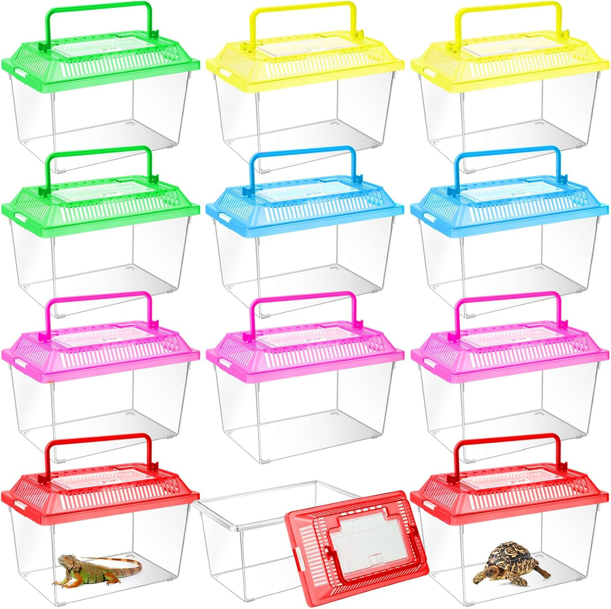 plastic reptile terrariums carrier cage, tarantula enclosure breeding, main product view