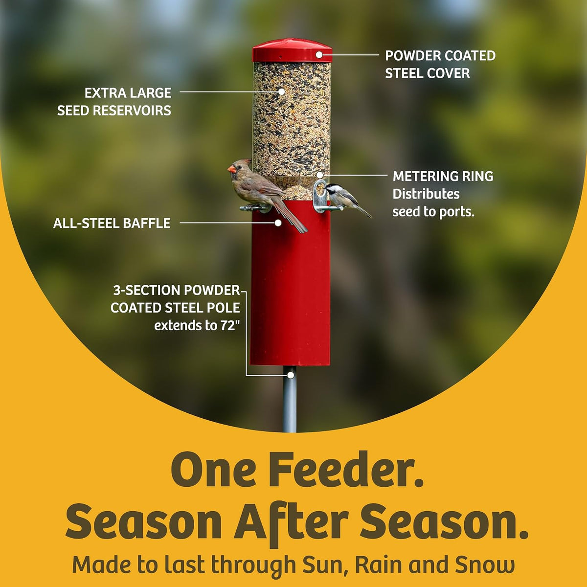 birds choice classic squirrel resistant bird feeder with showing dimensions