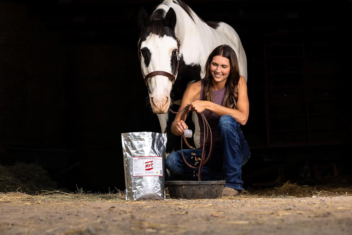 senior-flex h/a (5 lb) senior horse joint, immune showing dimensions