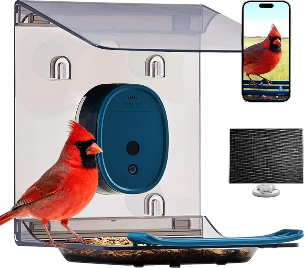 smart bird feeder with camera solar powered,2k uhd, main product view