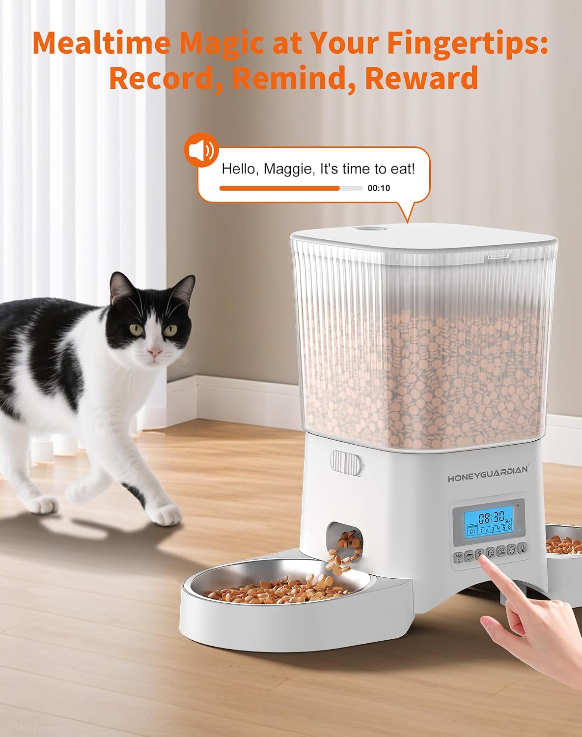 honeyguaridan automatic cat feeder for 2 cats,automatic cat showing dimensions