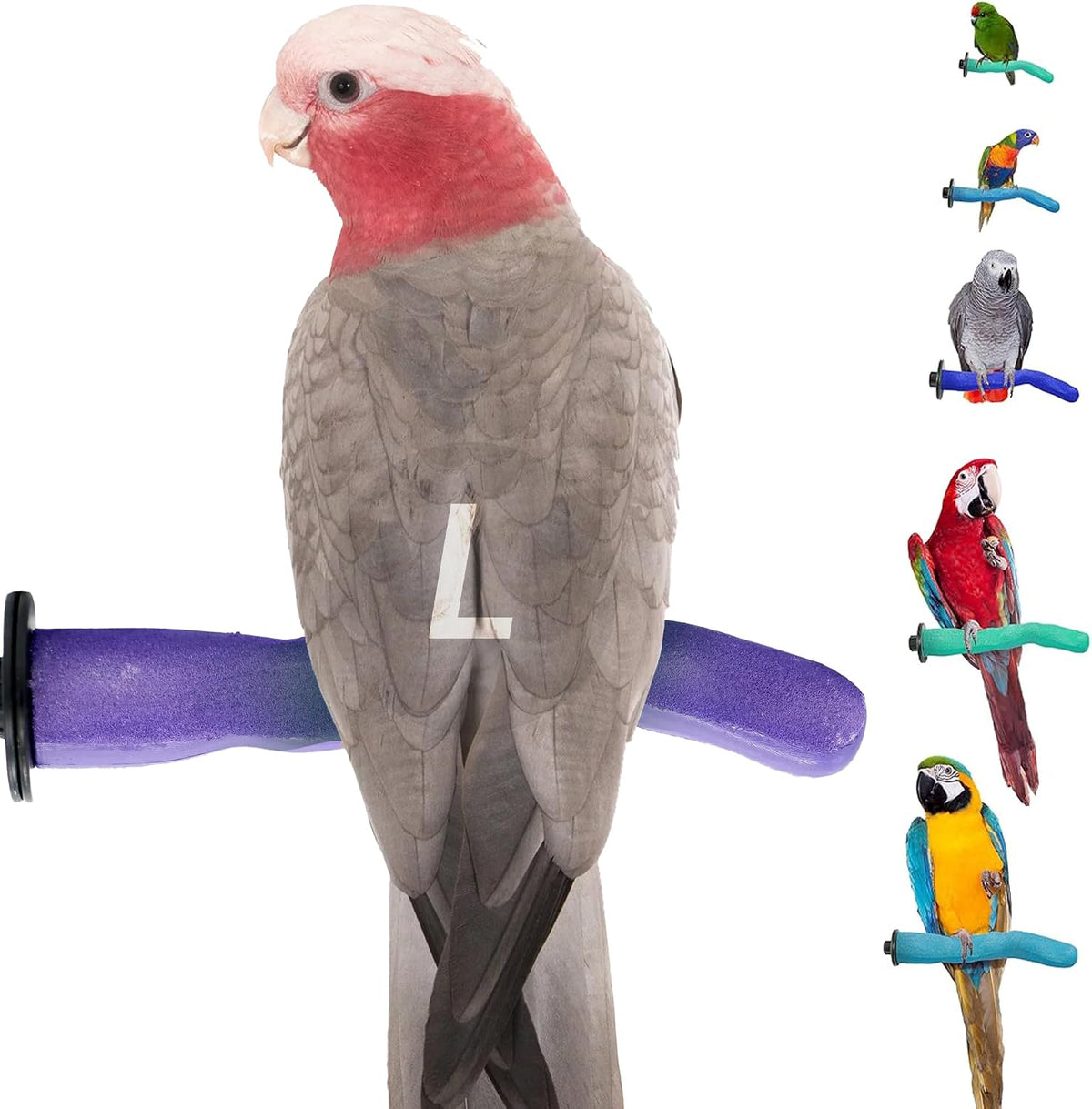 sweet feet and beak safety pumice bird perch, main product view
