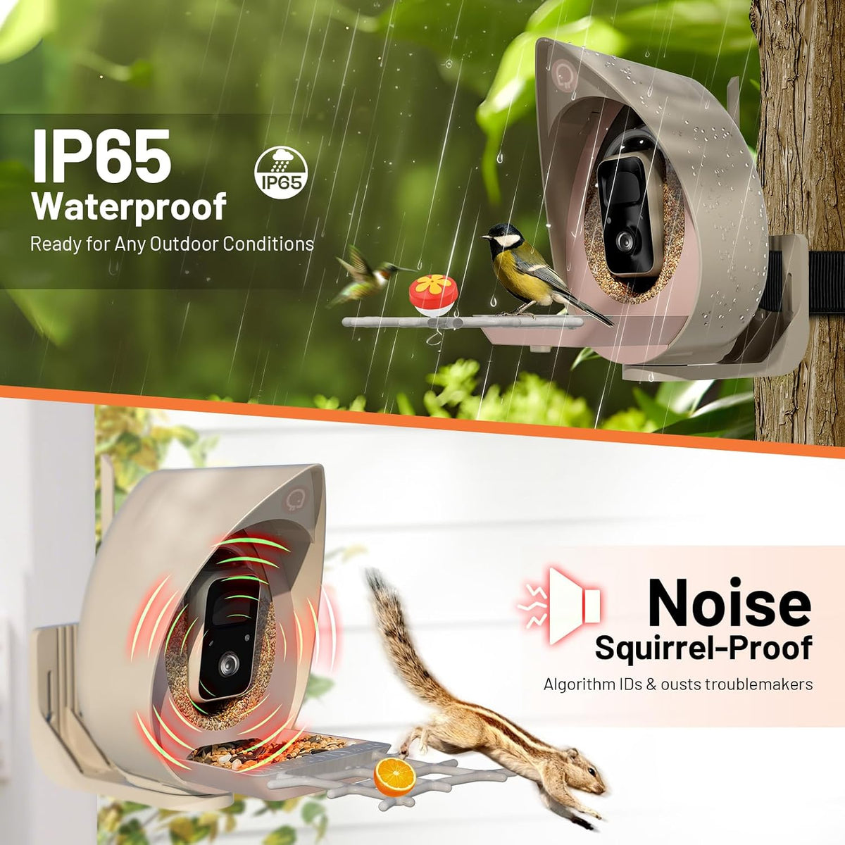 smart bird feeder with camera solar powered outdoor, close-up detail