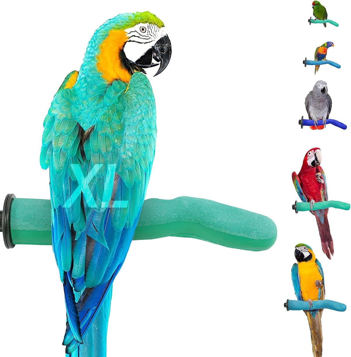 sweet feet and beak safety pumice bird perch, main product view