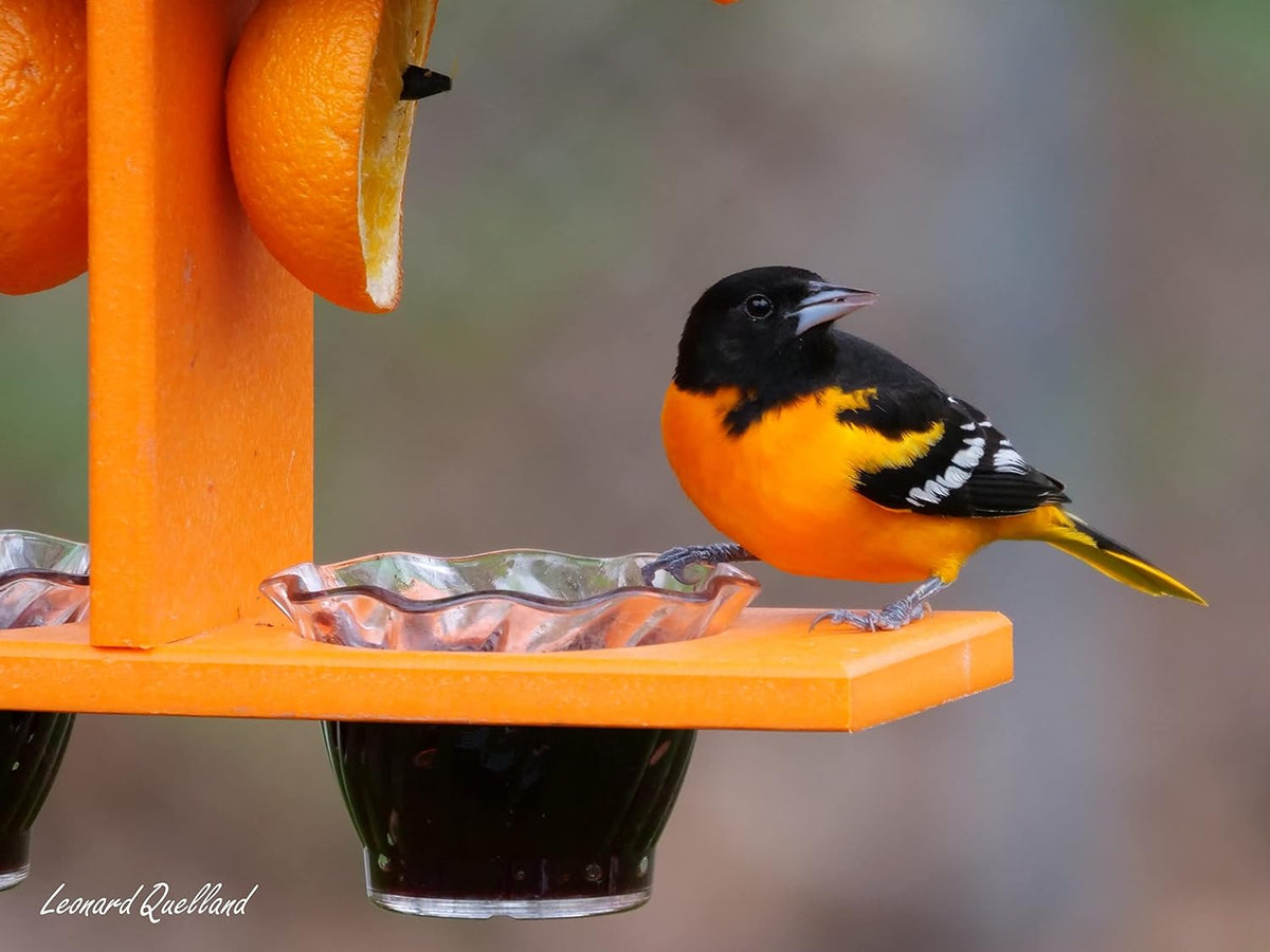 oriole bird feeder, triple deck, orange, side view