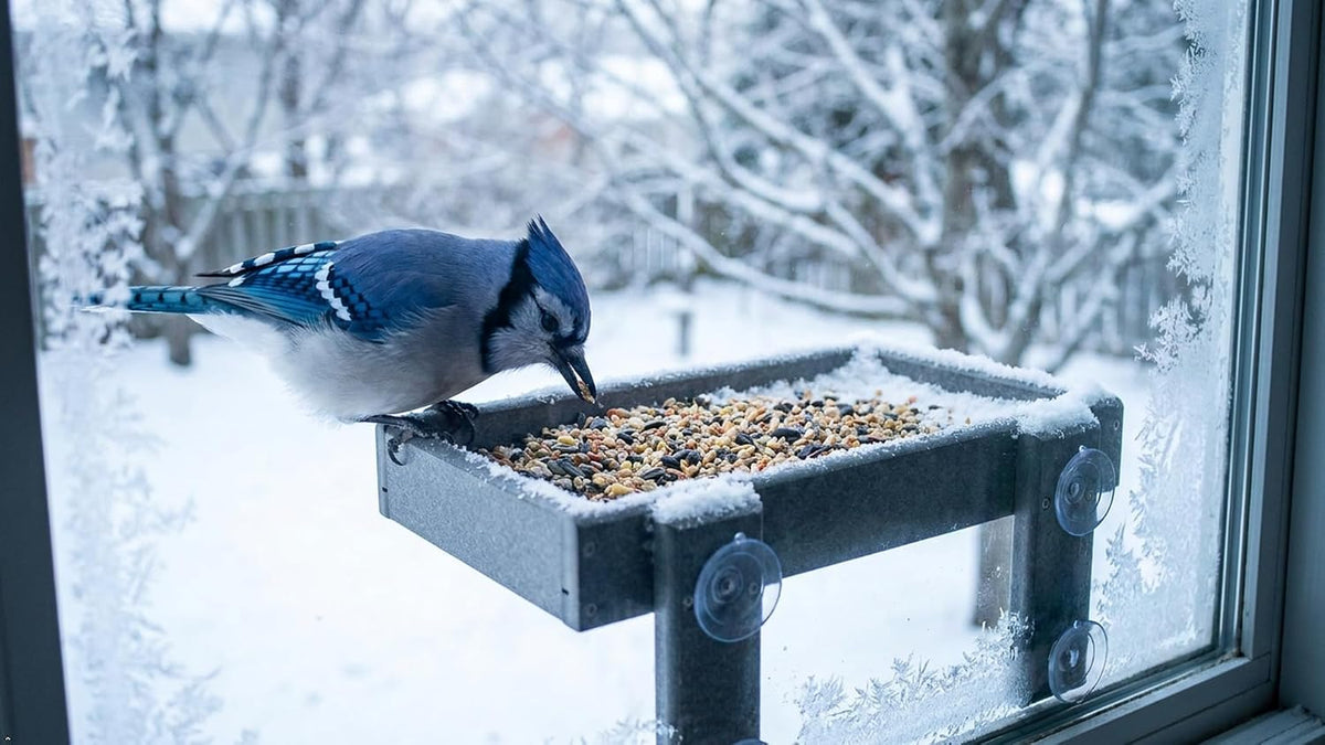 window-mount bird feeder, gray shown in use