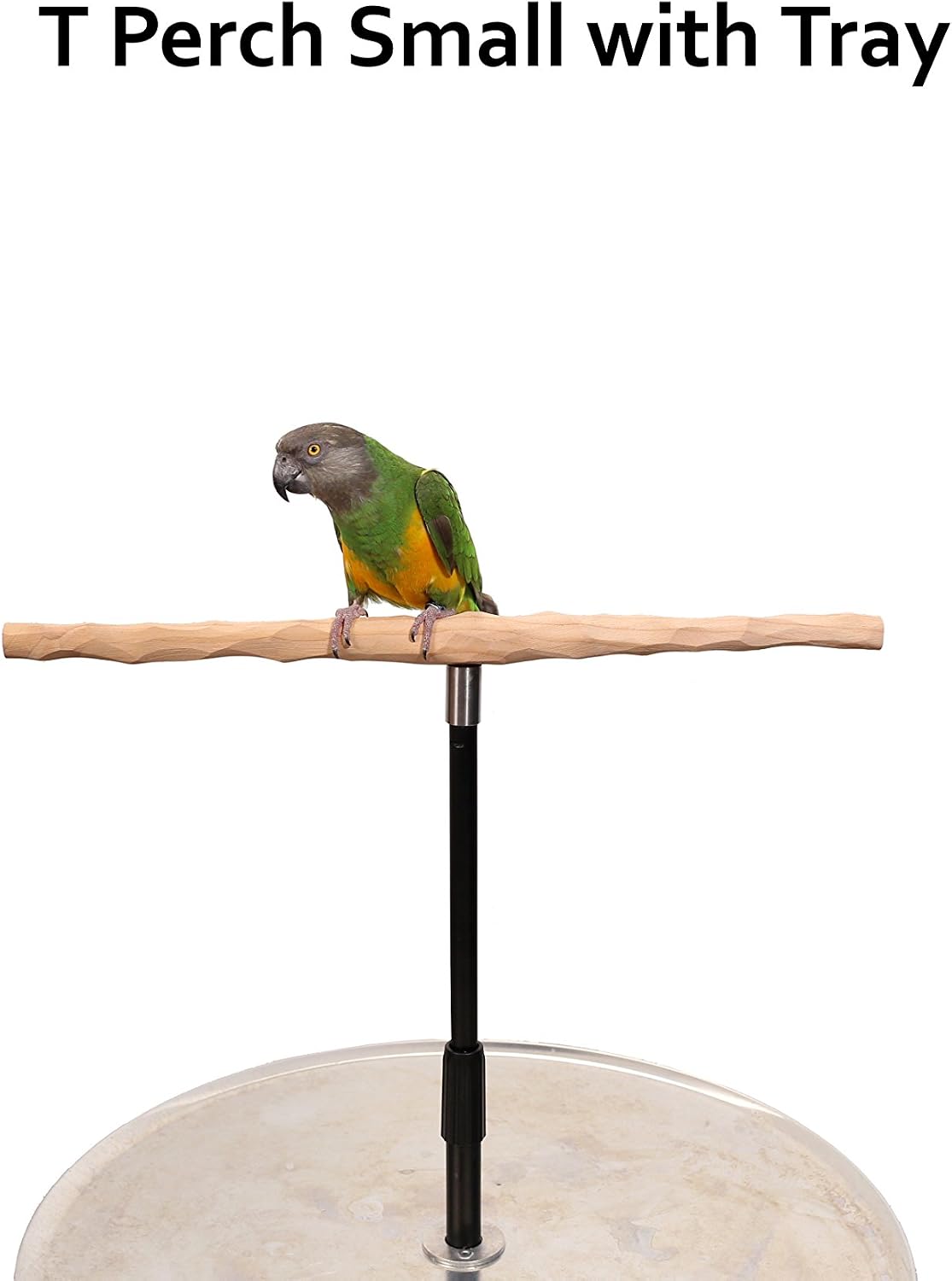 parrot training perch stand with potty tray (t shown in use