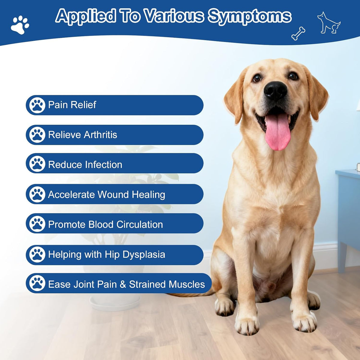 cold laser therapy device for dogs, red light, side view