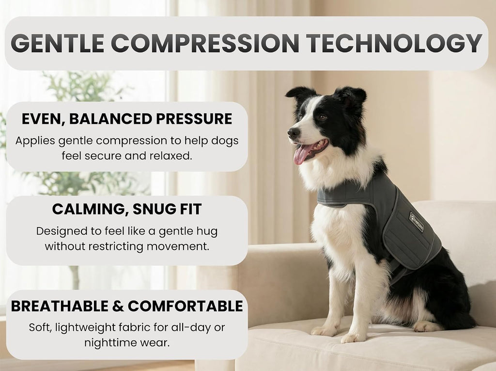 dog anxiety vest – calming vest & compression showing dimensions