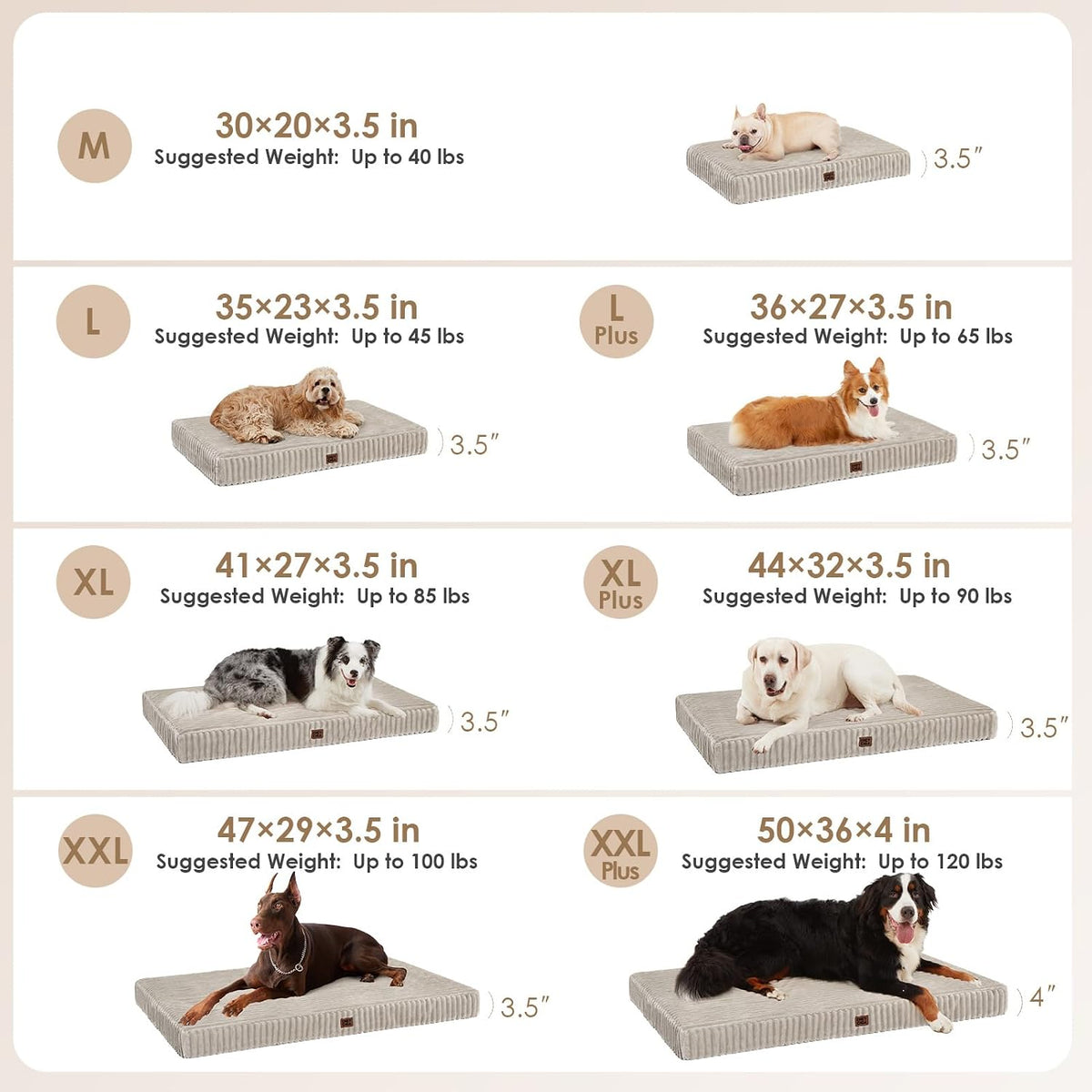 eheyciga orthopedic xxl dog bed 47"x29" extra large shown in use