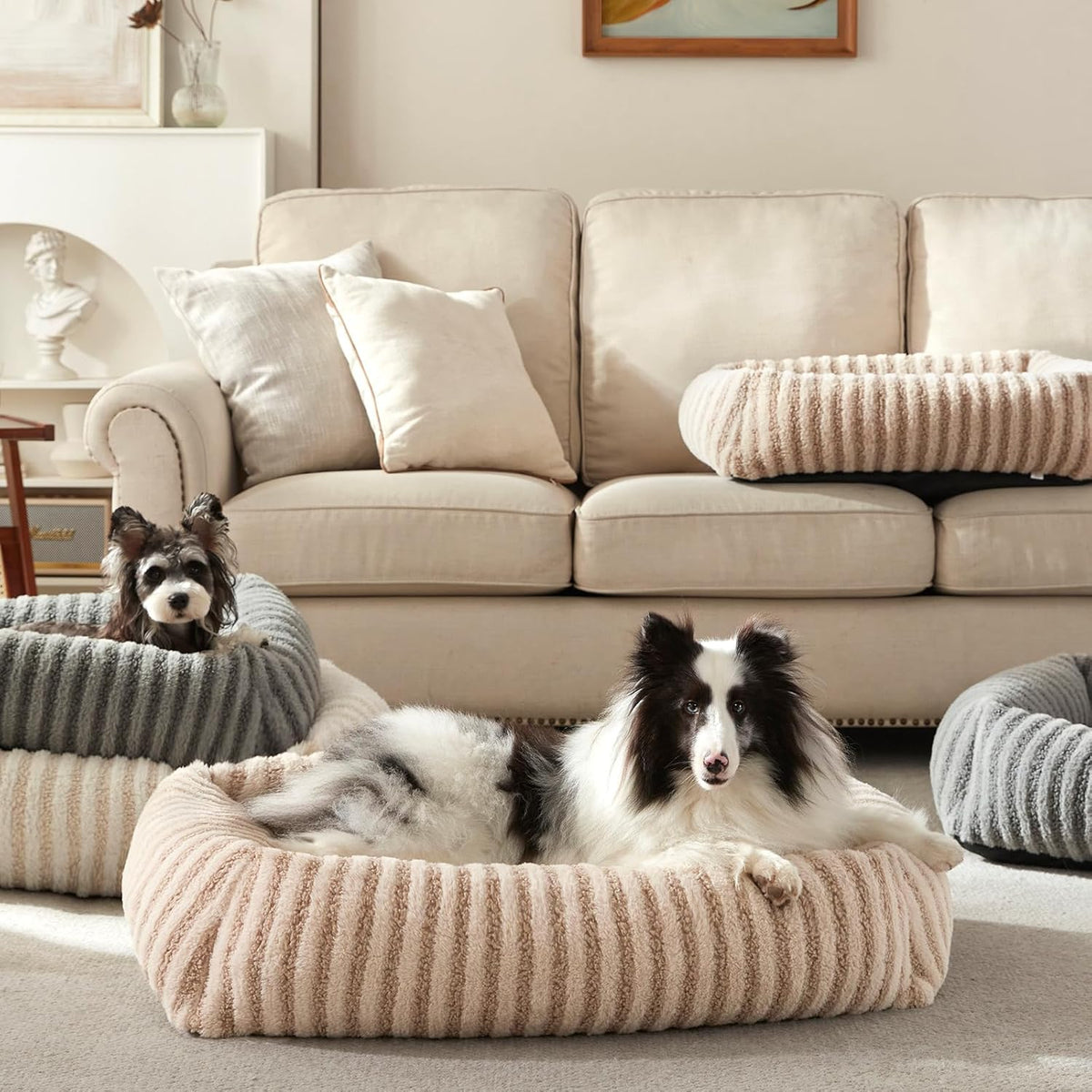 mixjoy dog bed medium size dog, washable medium, front angle view