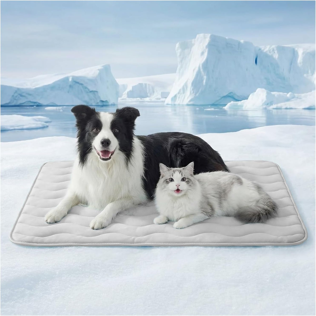 furrybaby dog cooling mat,self cooling mat for extra, main product view