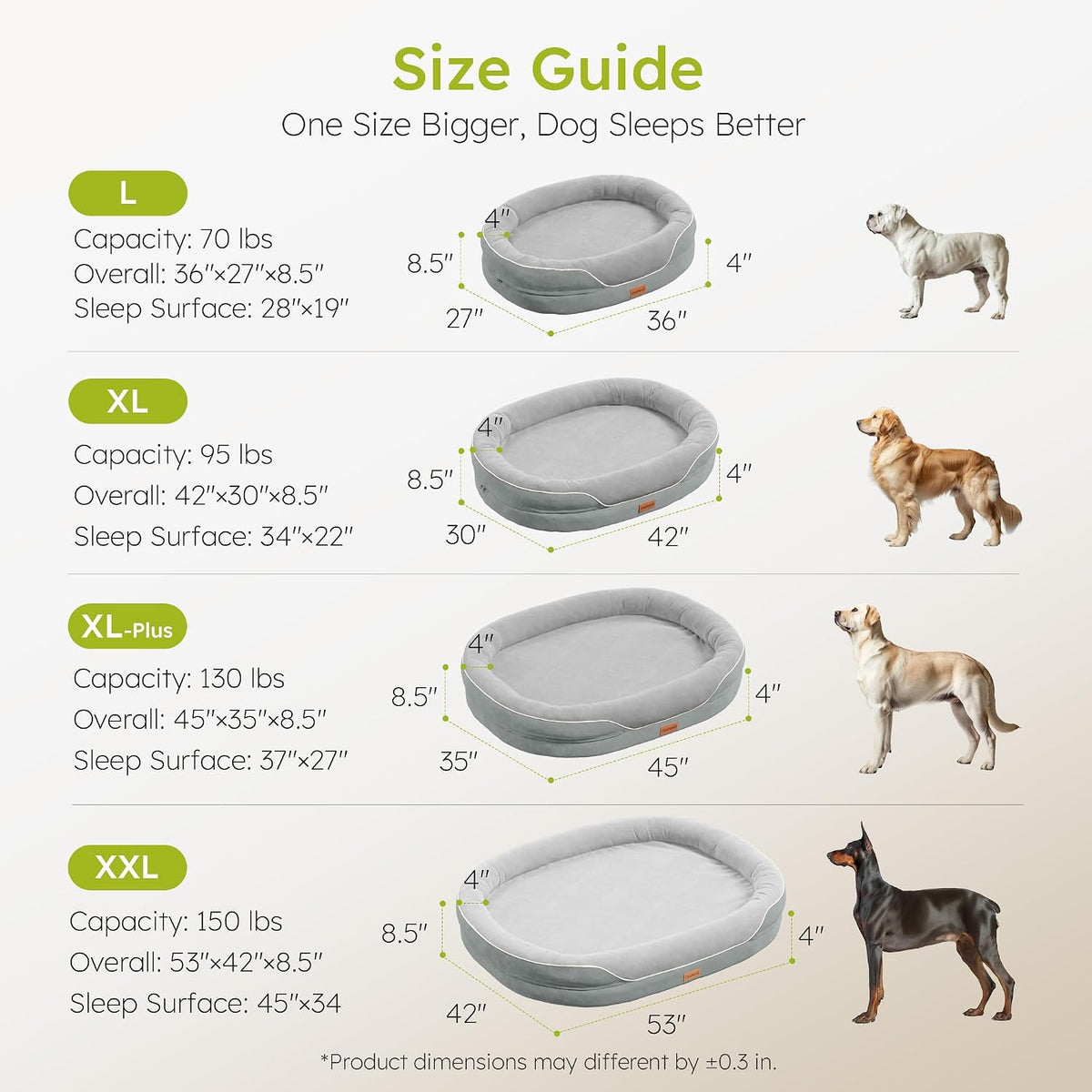 cwawz xxl orthopedic dog bed, 53 in. dog on a desk or shelf
