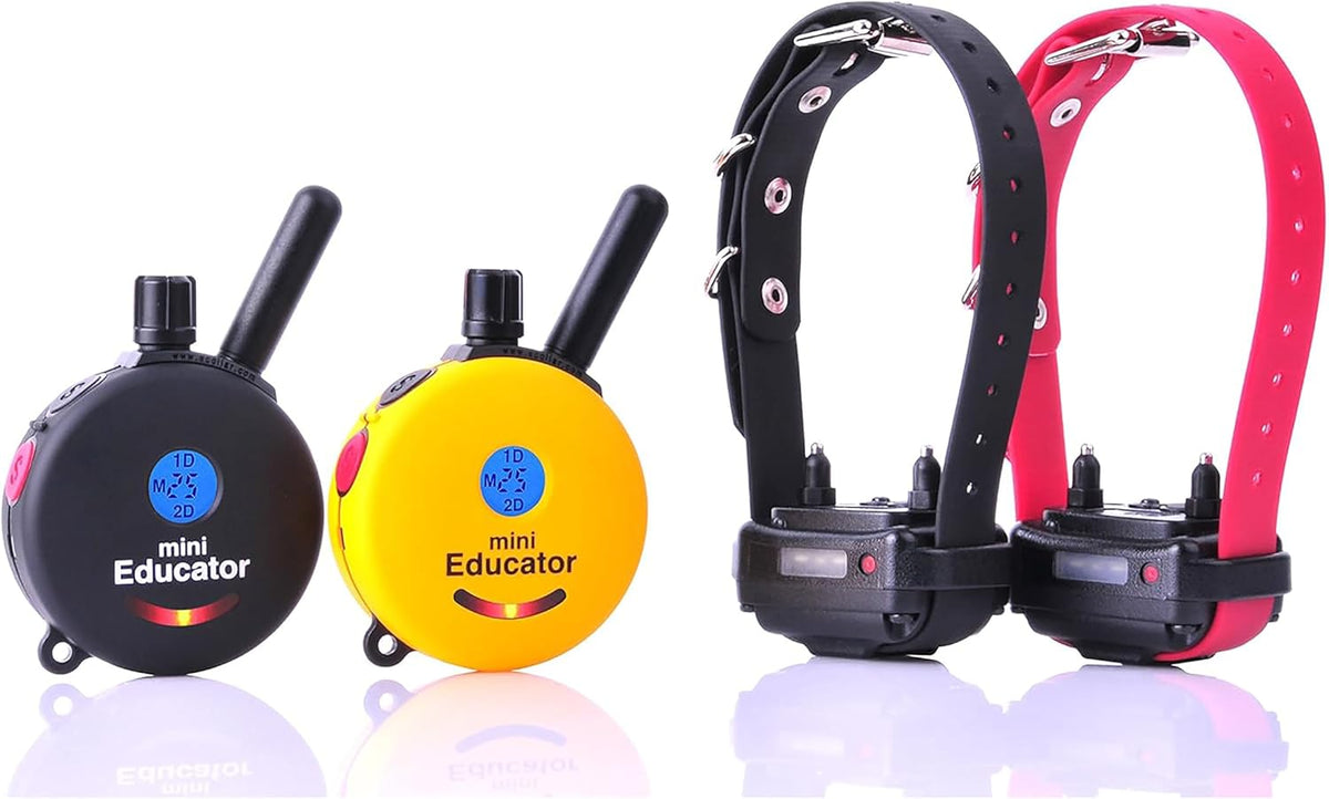 e-collar educator et-302-2t-cp remote collar, 2 dog, yellow/black, main product view