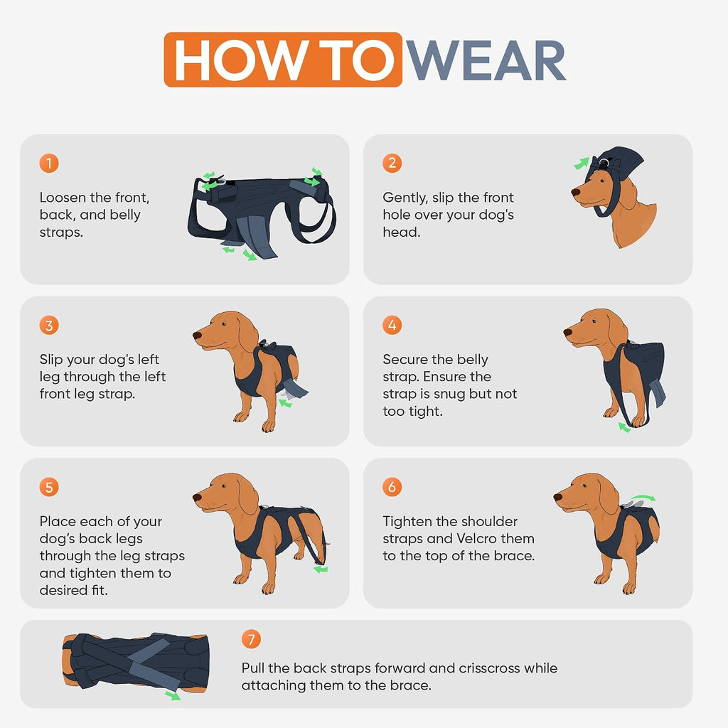 dog back brace for ivdd - orthopedic support showing dimensions