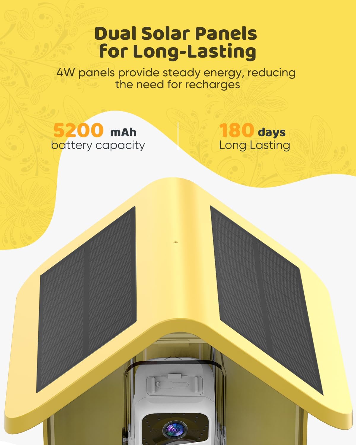 smart bird feeder with camera solar powered, 2k, close-up detail