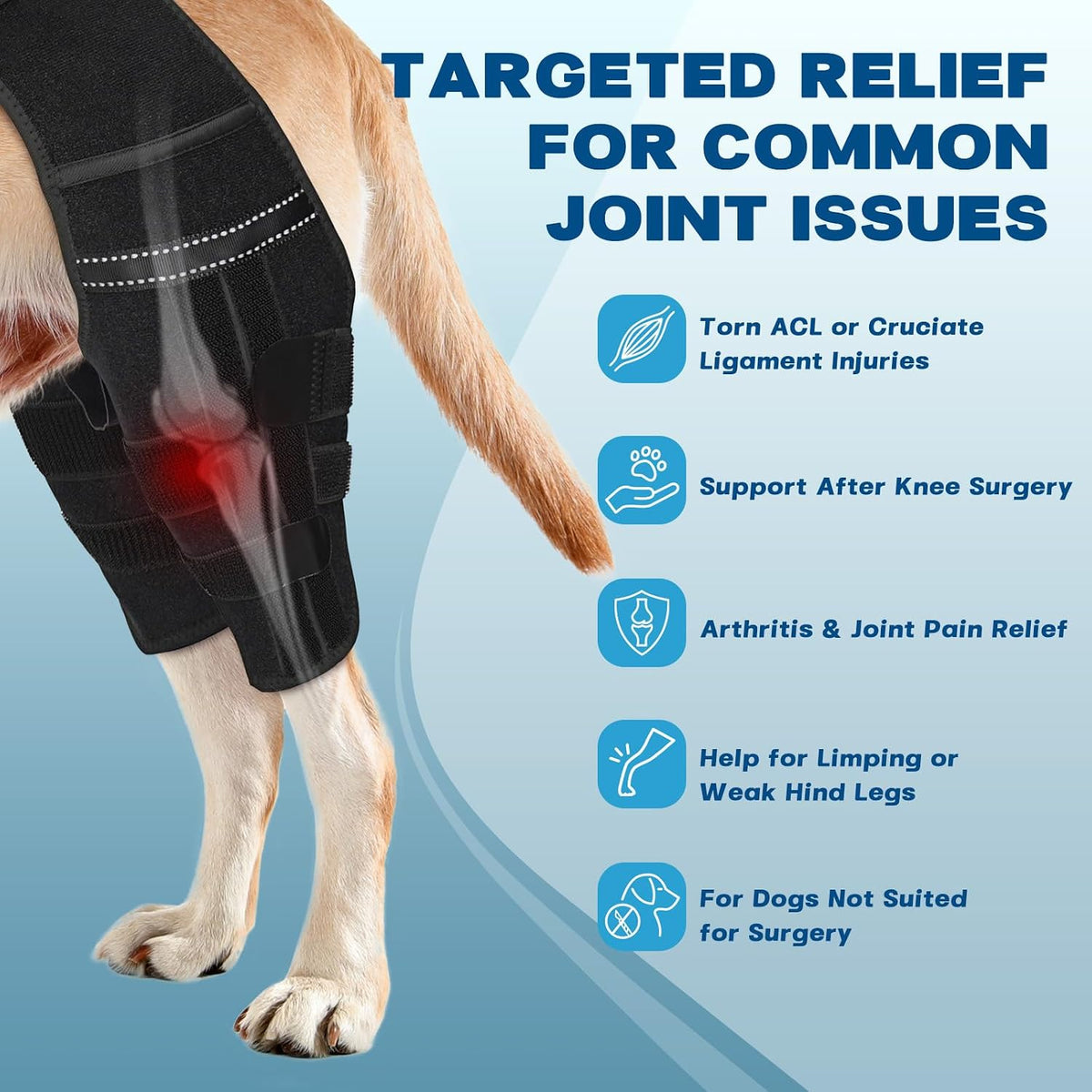 dog knee brace for torn acl hind leg shown in use