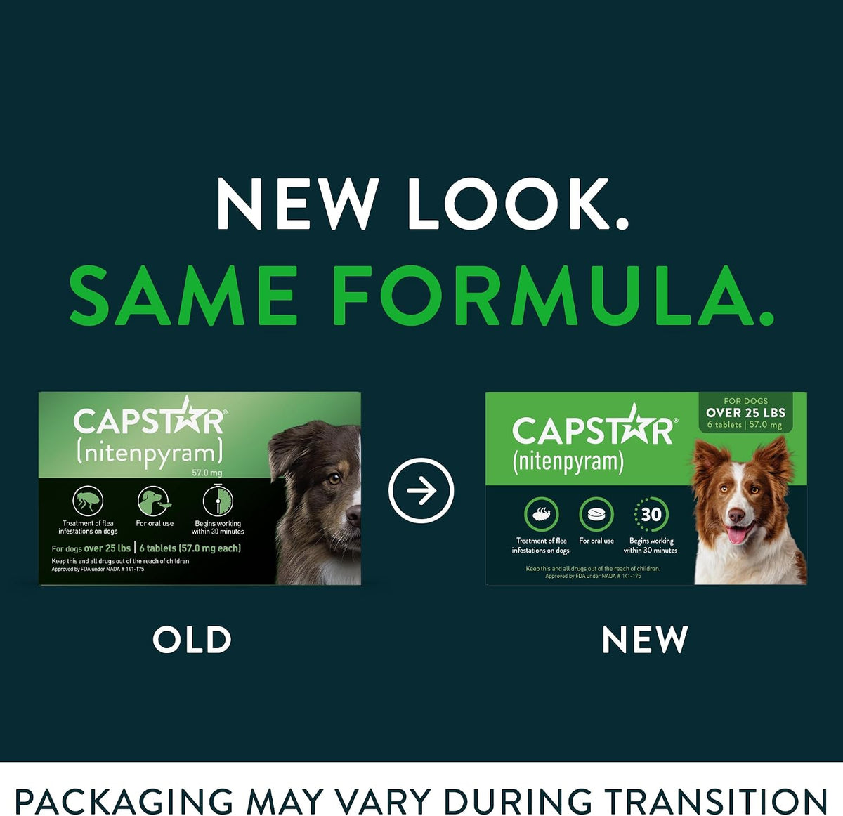 capstar (nitenpyram) fast-acting oral flea tablets for dogs shown in use