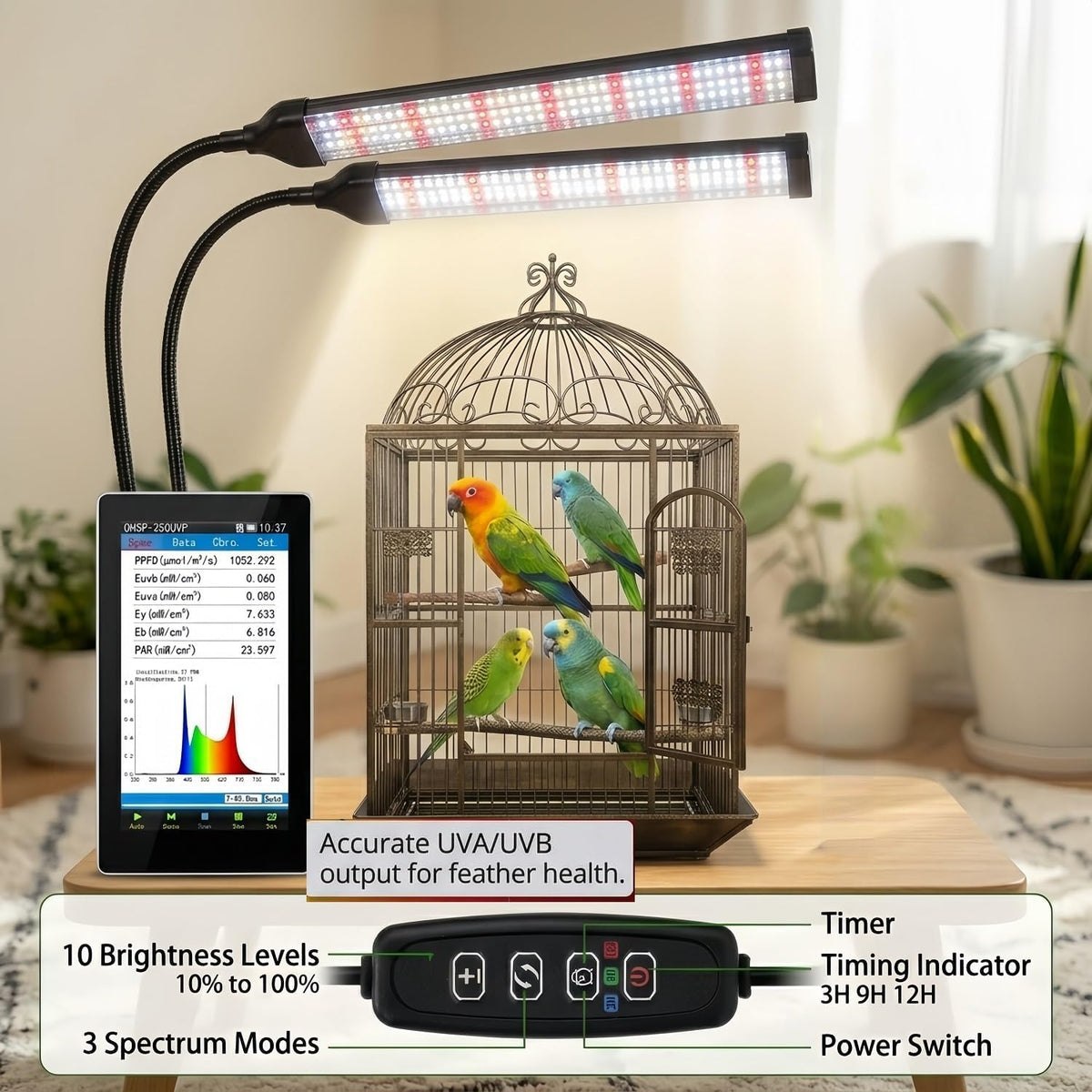 bird health cage supplementary light with full-spectrum led shown in use