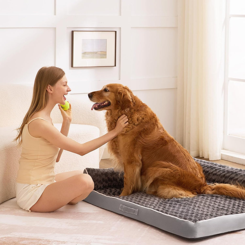 xl orthopedic dog bed for large sized dogs, front angle view