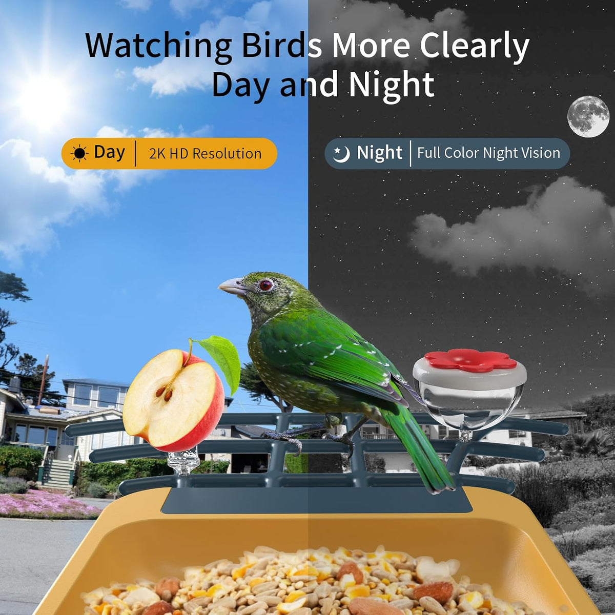 bird feeder with camera - ai identify bird shown in use