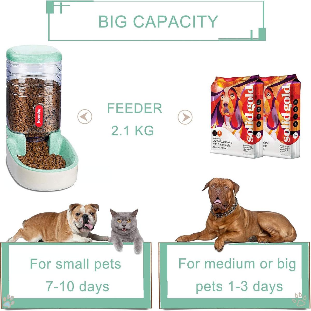 automatic cat feeders automatic dog feeder with dog, side view