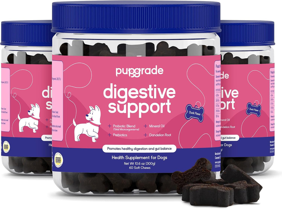 pupgrade digestive support for dogs, duck flavor, main product view