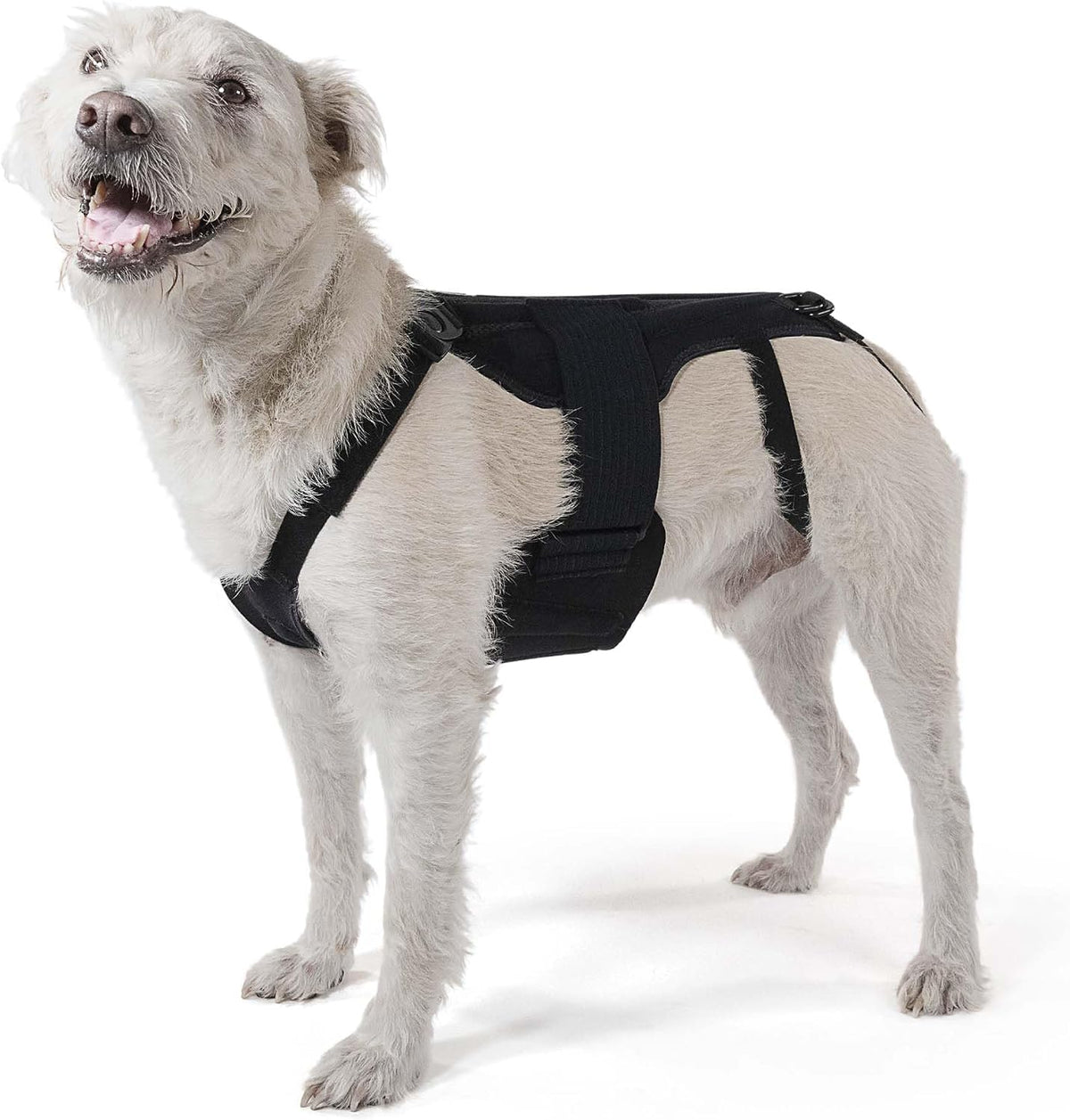 dog back brace with soothing heat warmers for, main product view